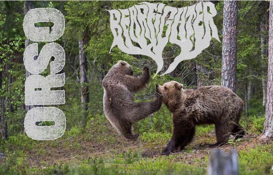 NNC: Orso (CH) + Bearfighter